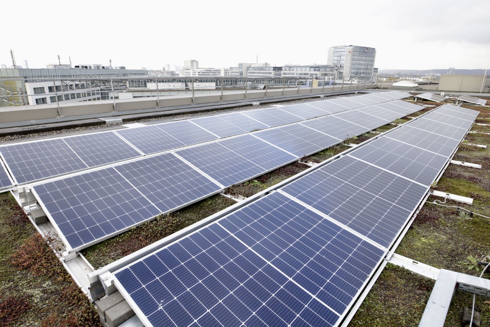 Twist Kostüme Bäckerei Pvs Sonnenenergie Aluminium Neckerei Verrückter